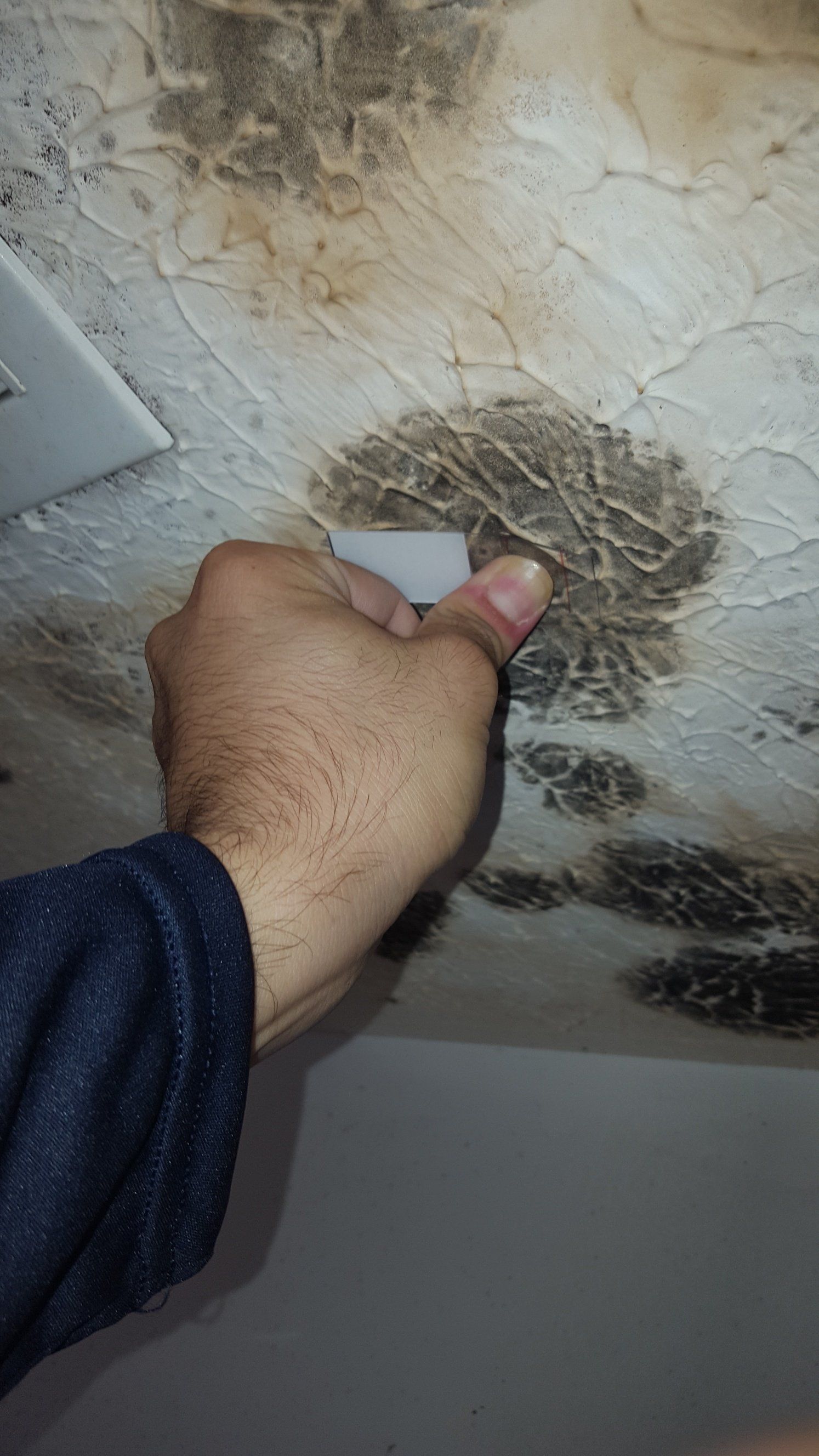 Inspection of an affected building material from Raven’s existing website